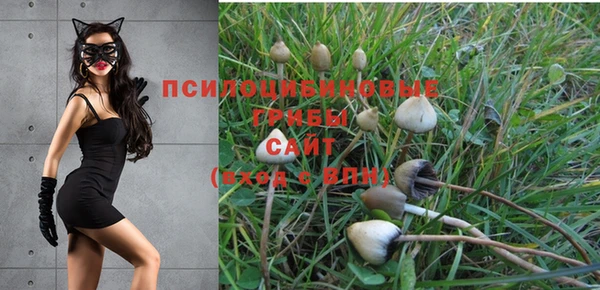 герыч Верея