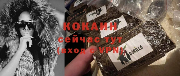 сатива Бородино