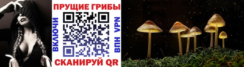 Галлюциногенные грибы мухоморы  Городец 